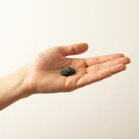 Spirulina Tabs 20% — Alghe per Caridine e Gamberi — immagine 2