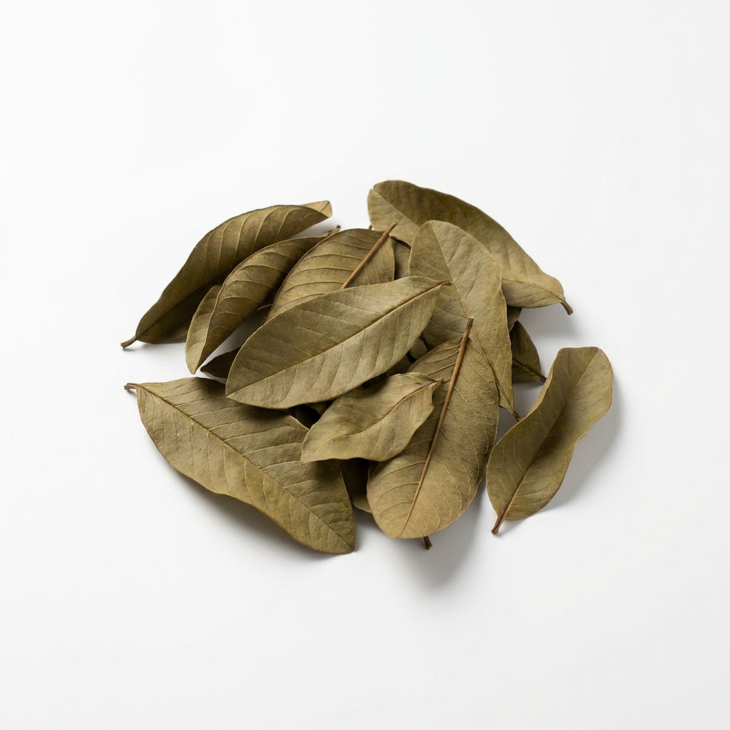 Foglie di Guava per Caridine — Pack 15 — immagine 1