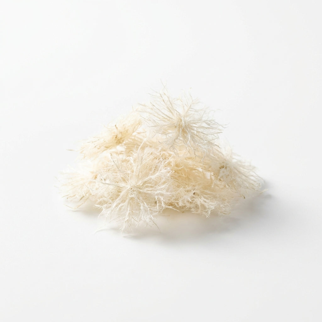 Snowflake Food — Cibo per Caridine a Base di Semi di Canapa 30g — immagine 1