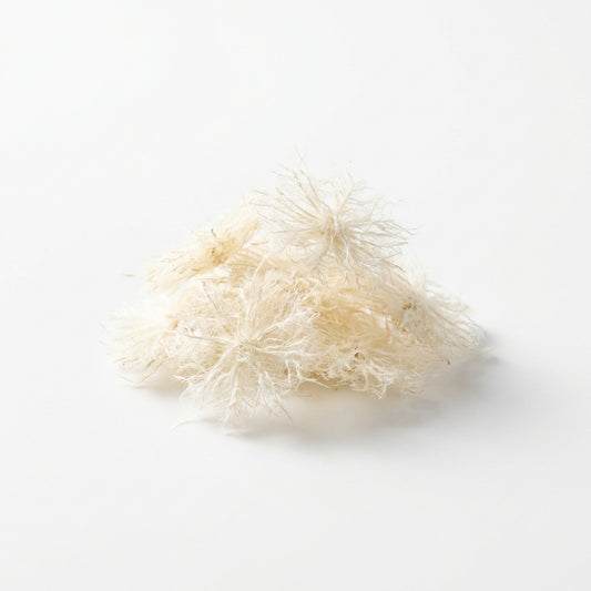 Snowflake Food — Cibo per Caridine a Base di Semi di Canapa 30g — immagine 1